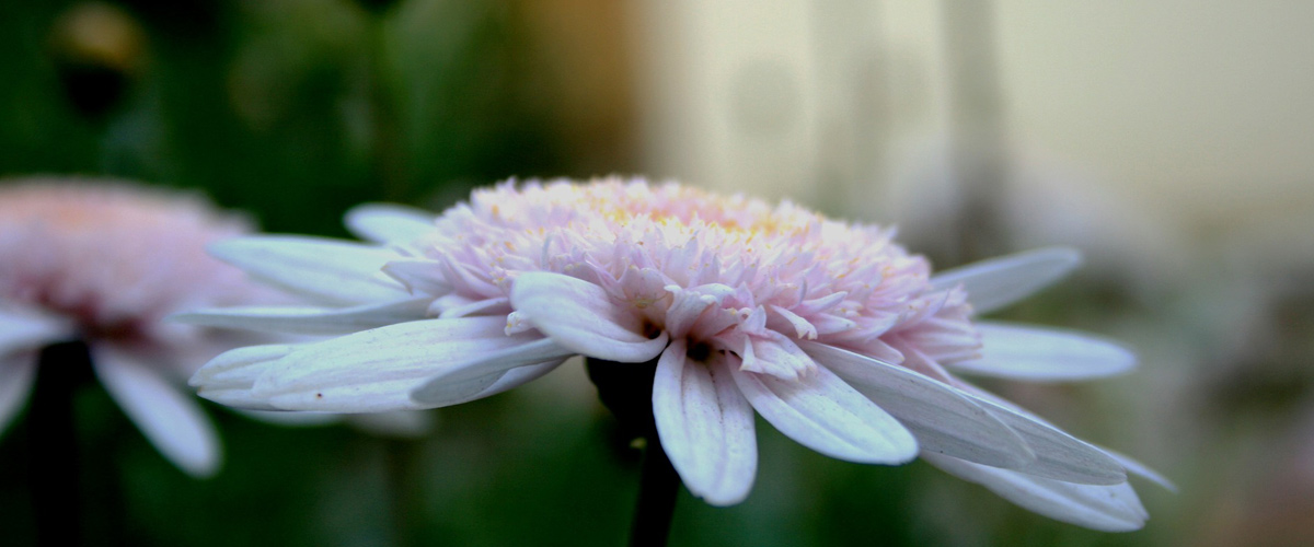 img-blog4